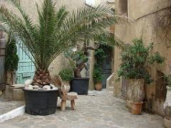 183 D37 LA LONDE DES MAURES ETR SES ENVIRONS_000038